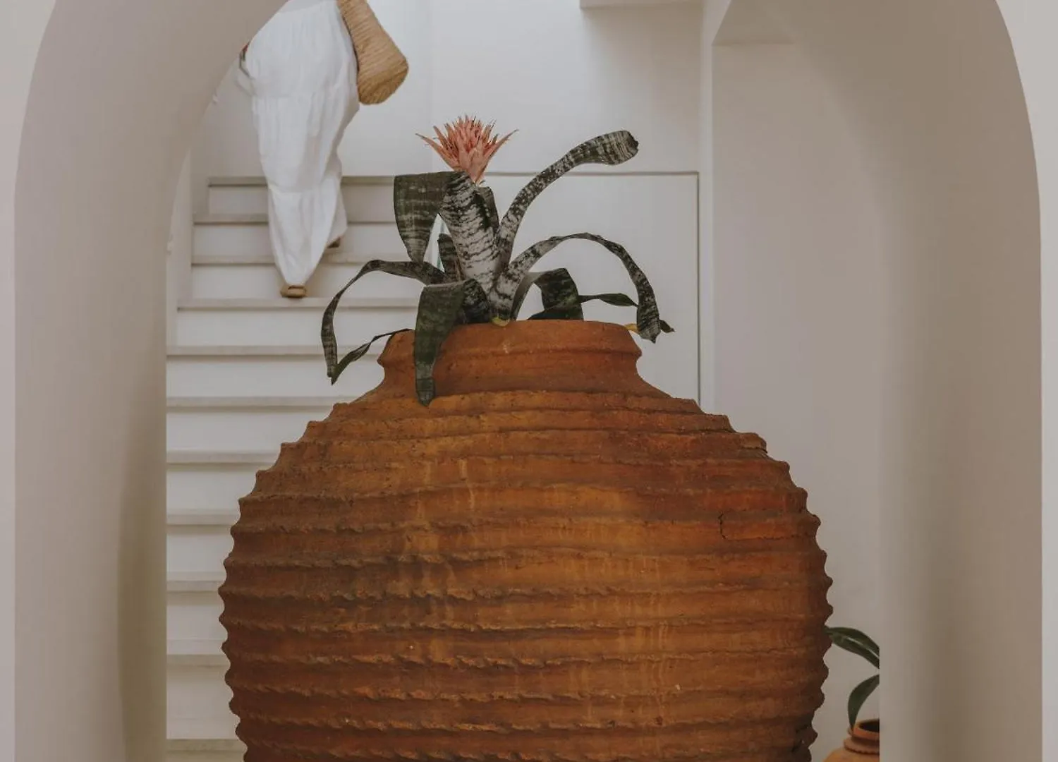 Ibara Ibiza Hotel Boutique Es Cana